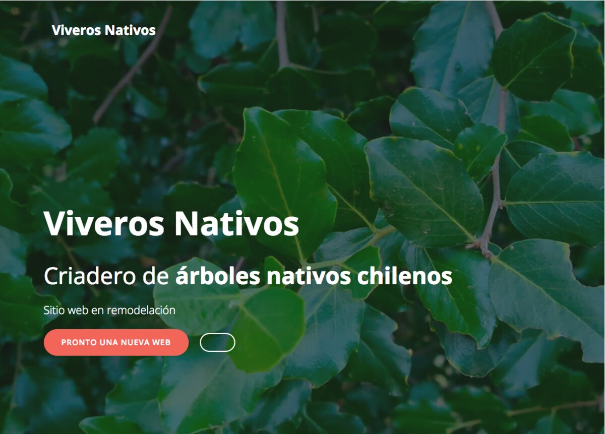 árboles nativos